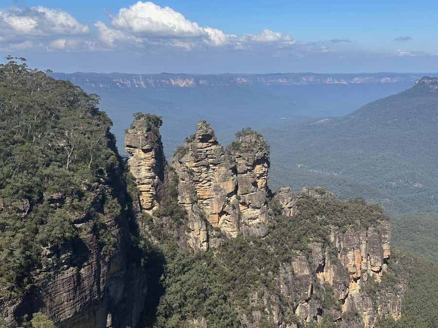 Blue Mountains Tour w/Lunch: Scenic World, Zoo & Koala Photo - Sydney Zoo changes the pace completely