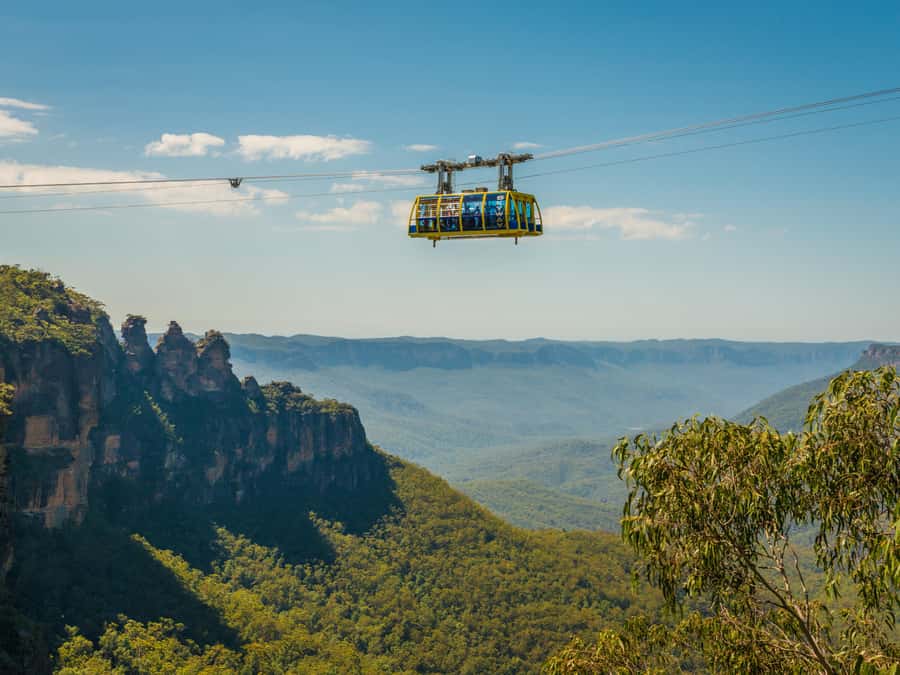 Blue Mountains Tour w/Lunch: Scenic World, Zoo & Koala Photo - The ferry home is part of the experience
