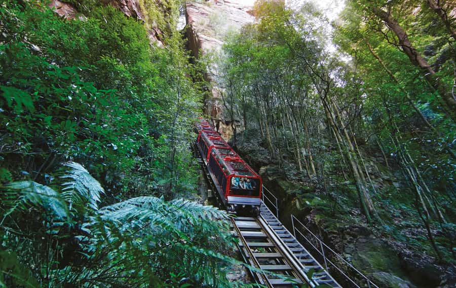 Blue Mountains Tour with Scenic World, Zoo&Bilingual Driver - Echo Point and the Three Sisters