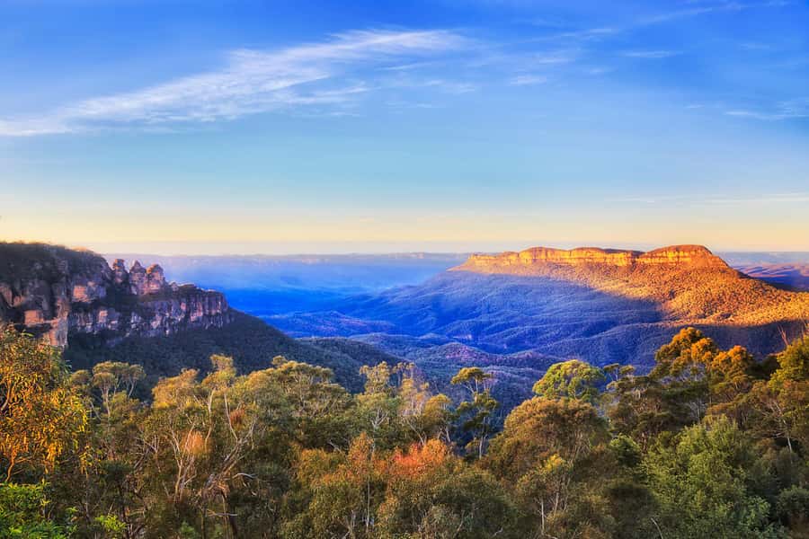 Blue Mountains Tour with Scenic World, Zoo&Bilingual Driver - Featherdale Wildlife Park: a close start with limited time
