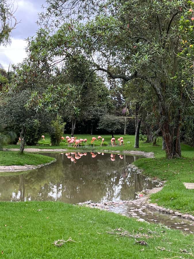 BOGOTA: Tour of Jaime Duque Park, Zoo, and Aerospace Museum - Guide quality, language, and access