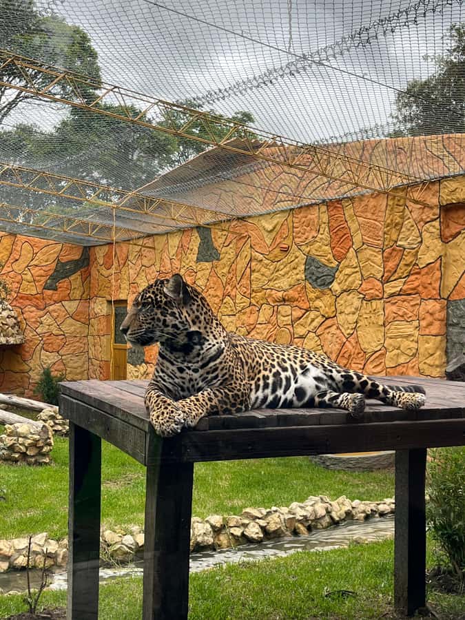 BOGOTA: Tour of Jaime Duque Park, Zoo, and Aerospace Museum - The Aerospace Museum adds an educational turn