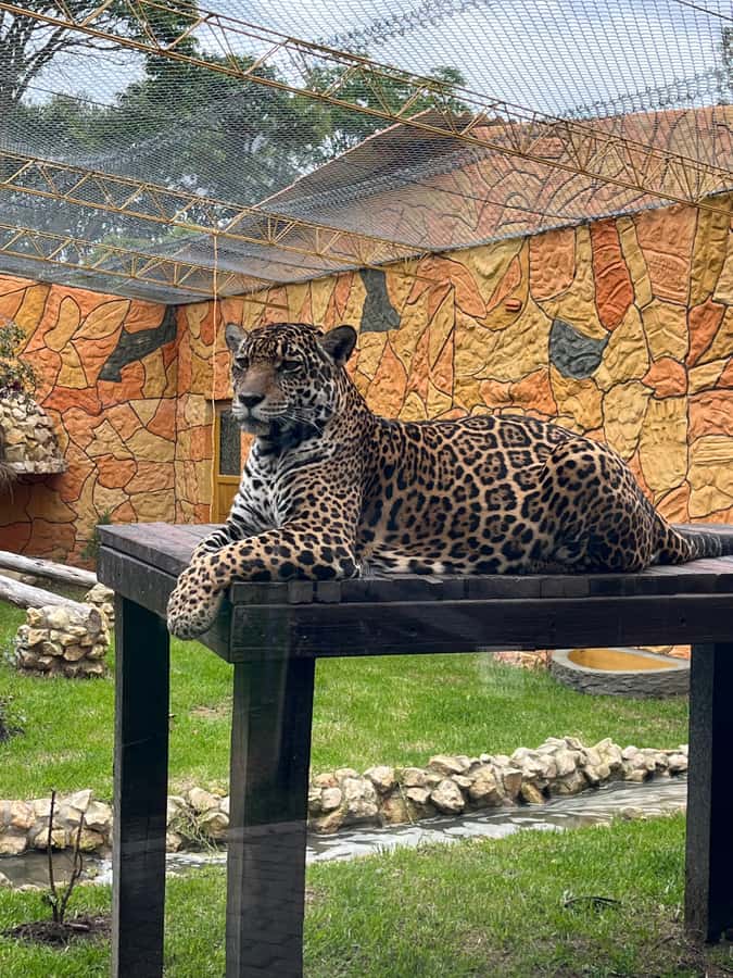 BOGOTA: Tour of Jaime Duque Park, Zoo, and Aerospace Museum - Entering the Medieval Castle