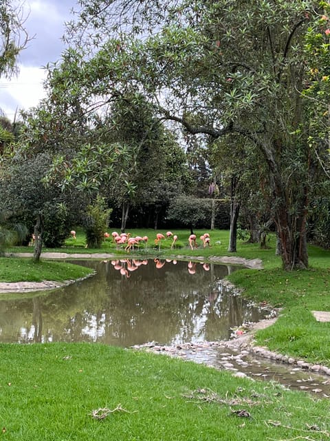 BOGOTA: Tour of Jaime Duque Park, Zoo, and Aerospace Museum - Theater shows and the family-friendly mix