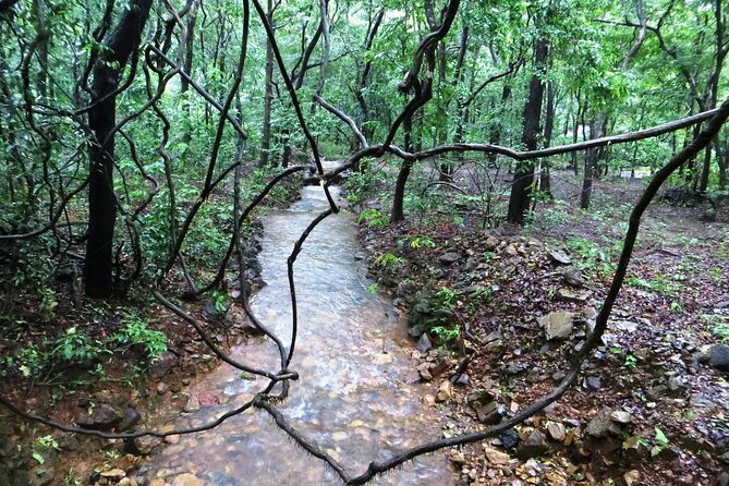 Bondla Wildlife Sanctuary with Lunch in Spice Plantation in Goa - Three hours at Bondla Wildlife Sanctuary