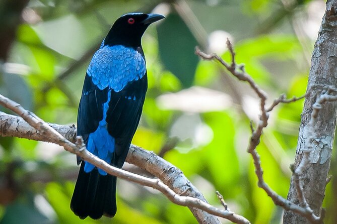 Bondla Wildlife Sanctuary with Lunch in Spice Plantation in Goa - The spice plantation and a Goan lunch