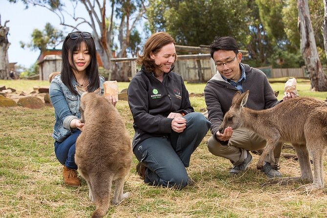 Bonorong Wildlife Park and Richmond Afternoon Tour from Hobart - At a glance
