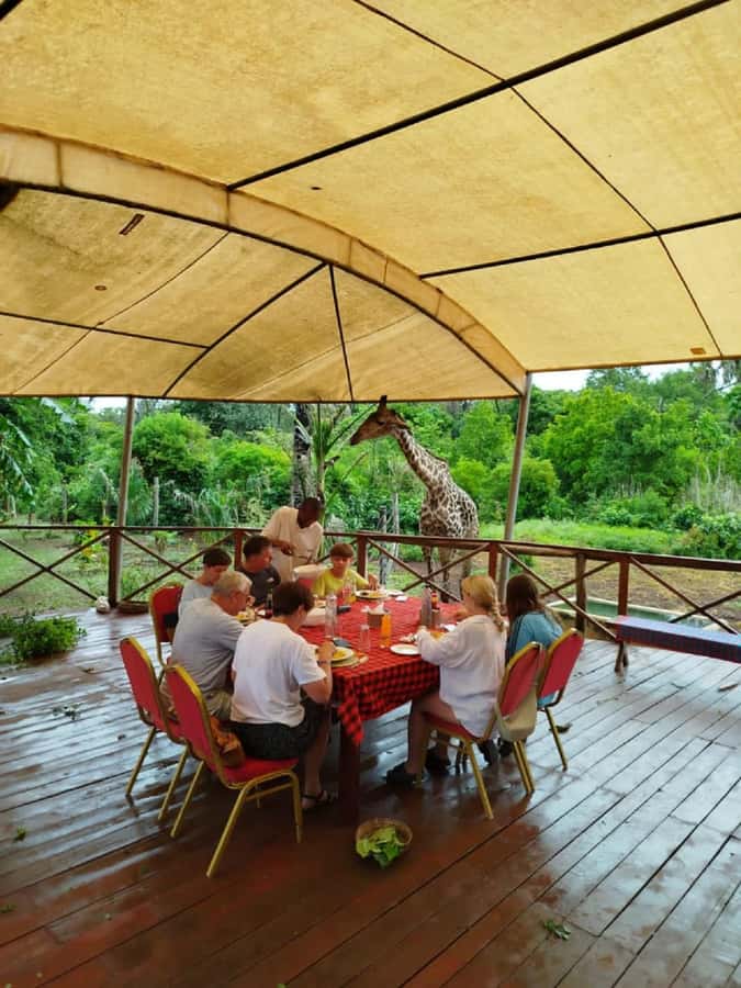 Borabora: Animal Park Guided and Bush Tour - Leaving Diani Beach at 10:00 AM