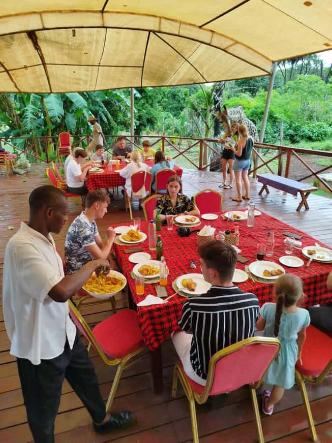 Borabora: Animal Park Guided and Bush Tour - From crocodiles to peacocks: what you may see