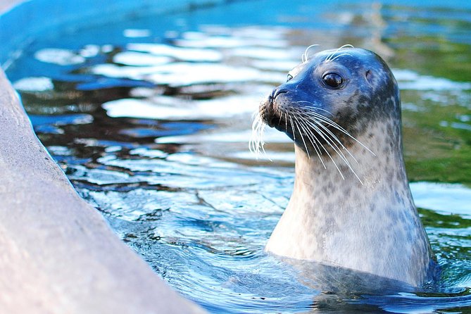 Boston Pass: 40+ Things To Do - Includes Franklin Park Zoo - How the Boston pass works in real life