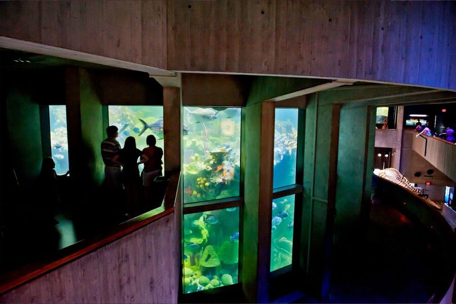 Boston Pass: Save up to 50% - Includes Franklin Park Zoo - Museums that make the pass easier to justify