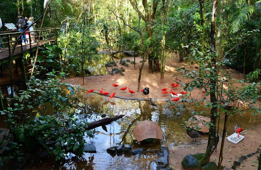 Brazilian Falls, Bird Park and Itaipu Dam - Should you book it?