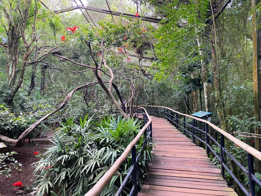 Brazilian Falls, Bird Park and Itaipu Dam - What I like most, and what I would watch