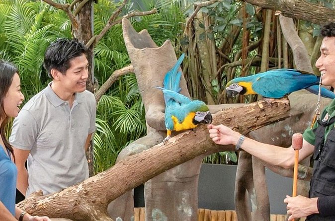 Breakfast In the Wild at Singapore Zoo Promo - Who will enjoy this most