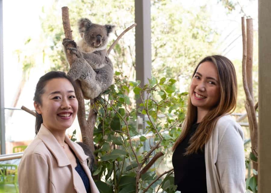 Breakfast with Koalas at WILD LIFE Zoo Darling Harbour - Why the early morning matters