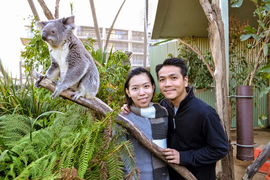 Breakfast with Koalas at WILD LIFE Zoo Darling Harbour - Practical details that affect your morning