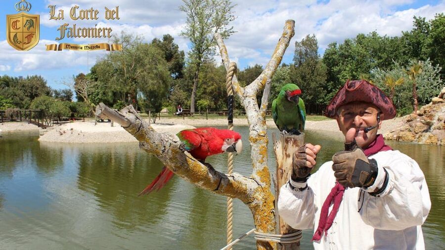 Breakfast with parrots at Masseria Mazzetta with wildlife park - The aviaries offer a close look at birds of prey