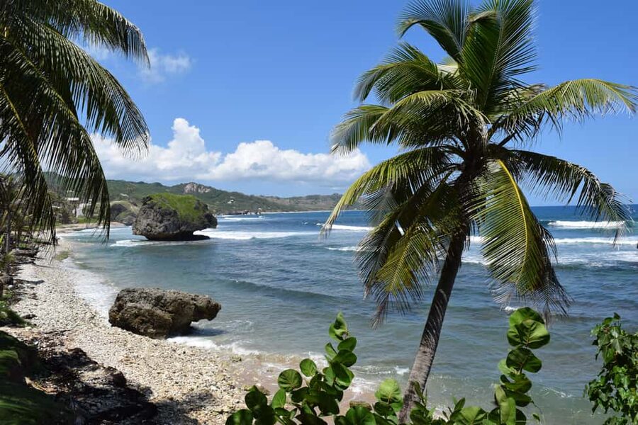 Bridgetown: Wildlife Reserve Tour and Carlisle Bay Cruise - Lunch adds a useful taste of Barbados