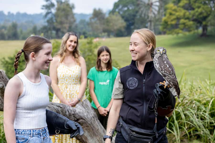 Brisbane: Lone Pine Koala Sanctuary Day Pass - Keeper talks and wildlife shows