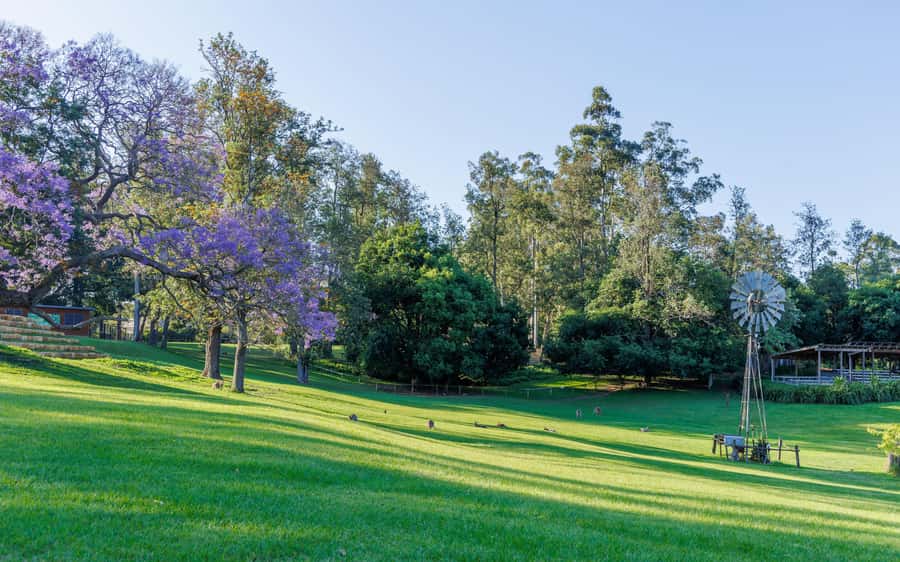 Brisbane: Lone Pine Koala Sanctuary Day Pass - Who will enjoy this day most?