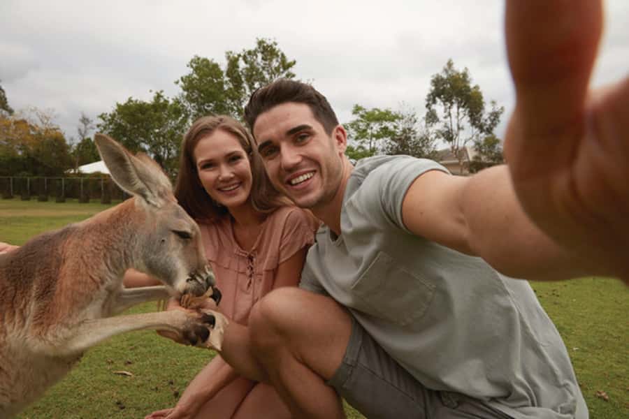 Brisbane River Cruise and Koala Sanctuary Visit - Boarding at Southbank and settling into Mirimar II