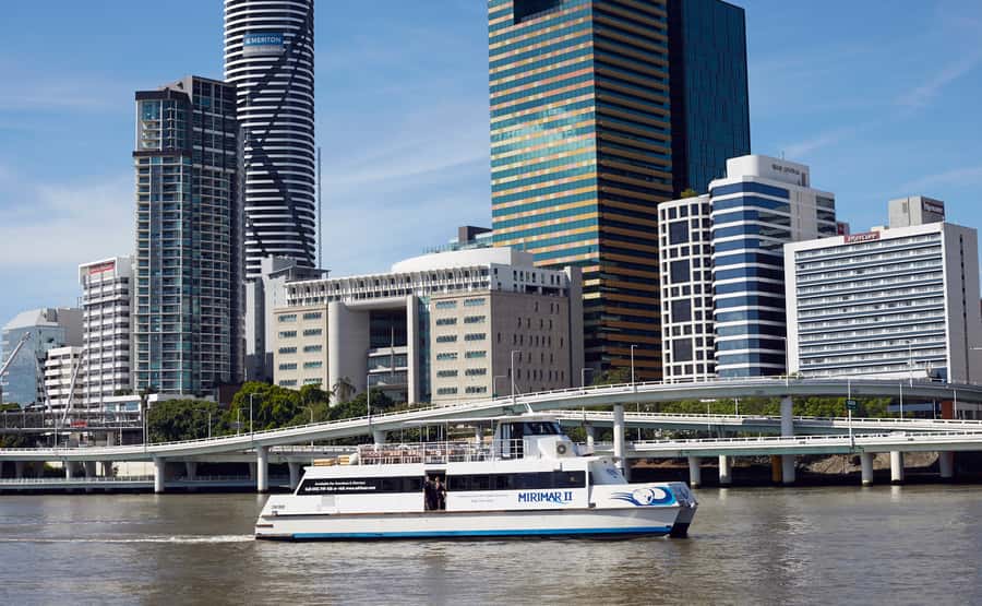 Brisbane River Cruise and Koala Sanctuary Visit - Feeding kangaroos and deciding on a koala encounter