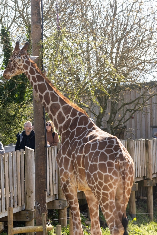 Bristol: Bristol Zoo Project Entry Ticket - Play areas that help families pace the day