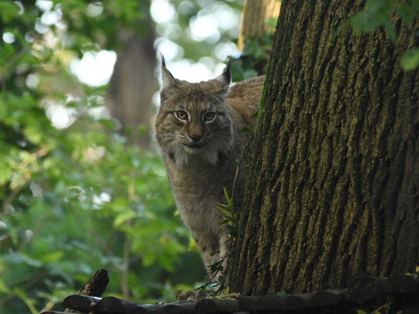 Bristol: Bristol Zoo Project Entry Ticket - Price, timing, and practical value