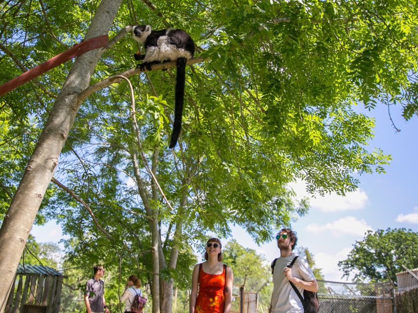 Bristol: Bristol Zoo Project Entry Ticket - Who will enjoy Bristol Zoo Project most?