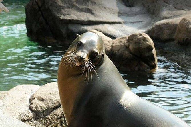 Bronx Zoo Admission Ticket - The Butterfly Garden provides a quiet pause