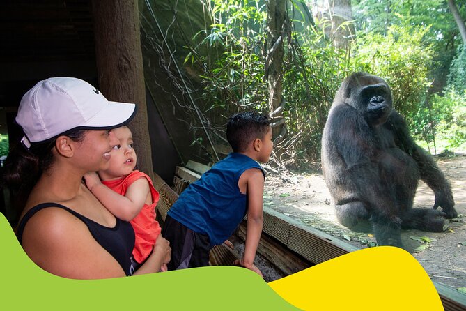 Bronx Zoo Admission Ticket - Congo Gorilla Forest and JungleWorld