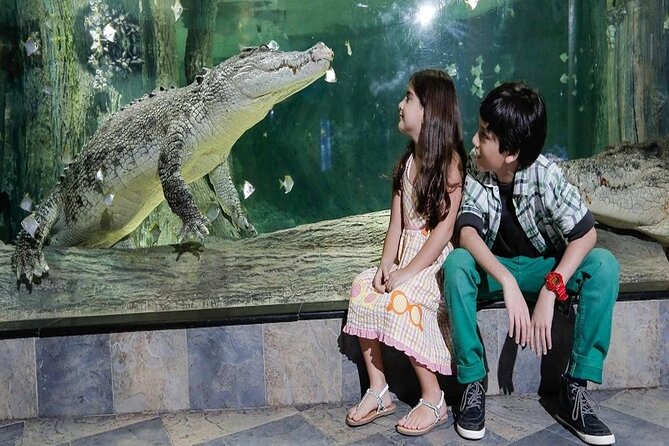 Burj Khalifa At The Top & Underwater Zoo Aquarium with Transfer - The booking timing issue you should not ignore