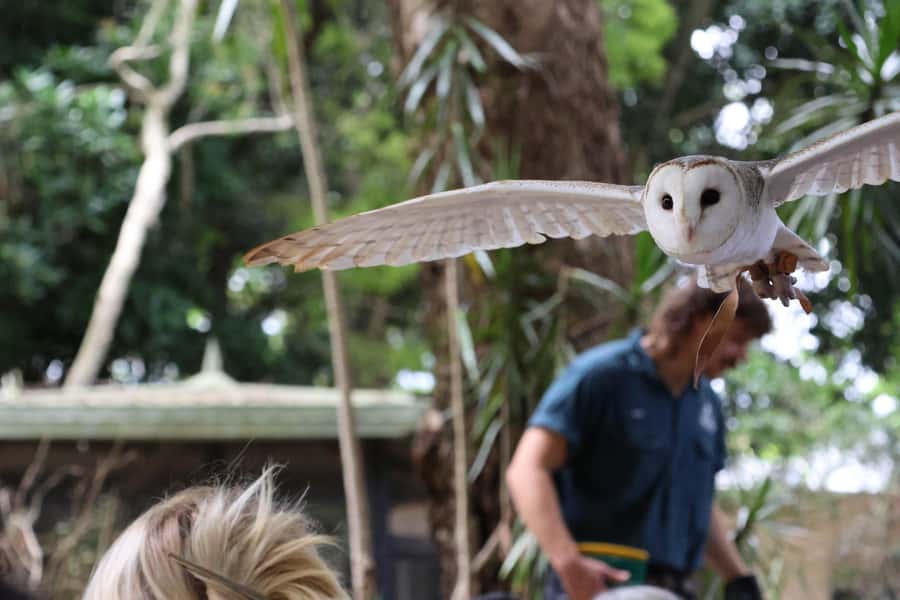 Byron Bay Wildlife Sanctuary Entry Ticket - Key points to know before you go