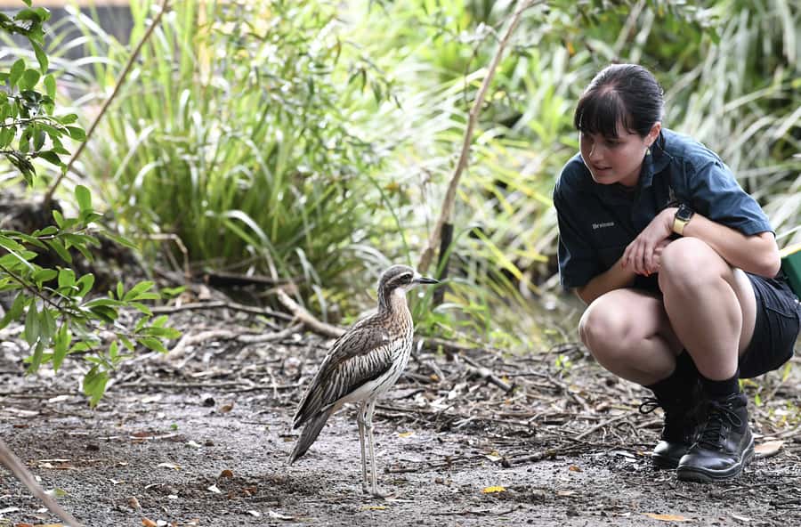 Byron Bay Wildlife Sanctuary Entry Ticket - Conservation is part of the visit