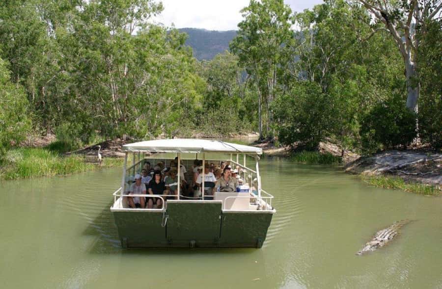 Cairns Shore Excursion: Crocodile & Wildlife Park Tour - Key points to know before you book