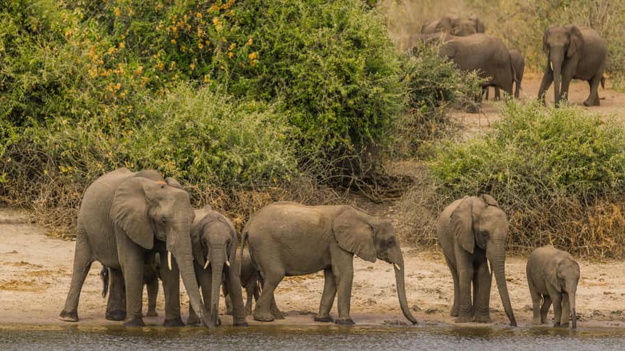 Cairo: Guided Day Trip to Africa Safari Park with Lunch - Key points to know before you book