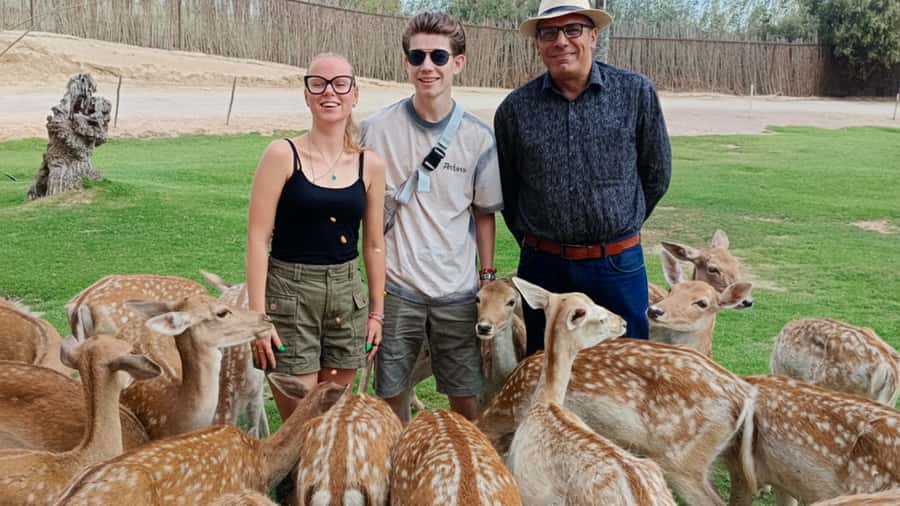 Cairo: Guided Day Trip to Africa Safari Park with Lunch - Reptiles, birds, and the smaller creatures
