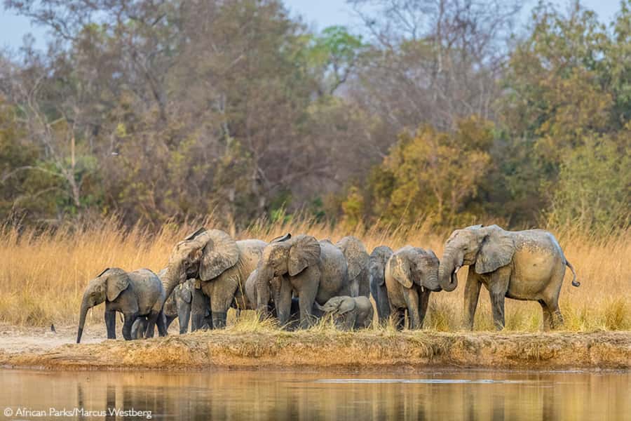 Cairo: Guided Day Trip to Africa Safari Park with Lunch - Is $154 per person a fair price?