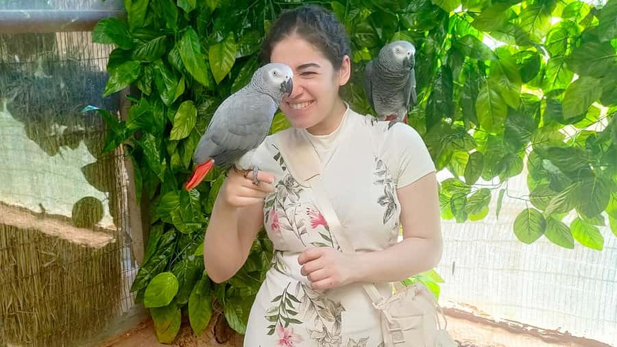 Cairo: Guided Day Trip to Africa Safari Park with Lunch - What makes the open zoo different
