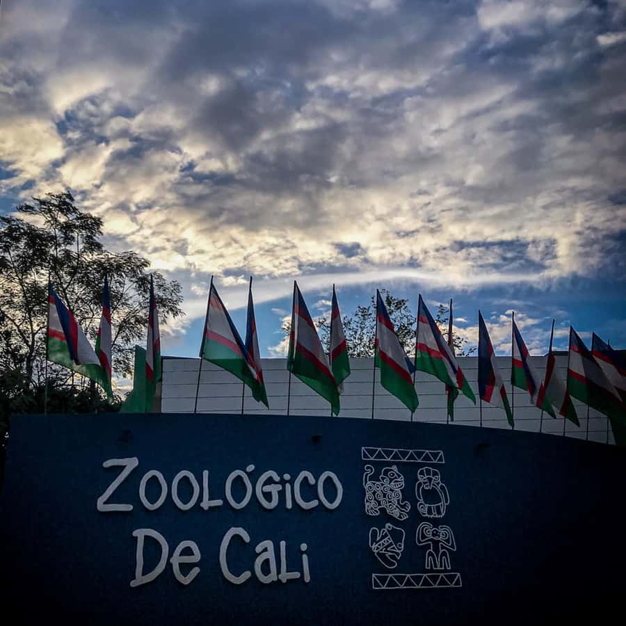 Cali Zoo Access Ticket - Who will enjoy Cali Zoo most