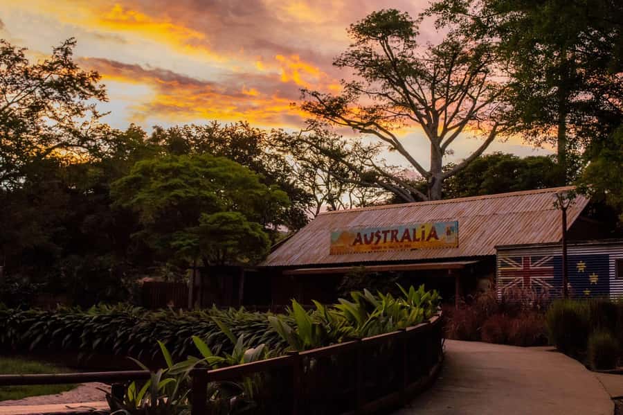Cali Zoo Access Ticket - Seven habitat exhibits and 2,500 animals
