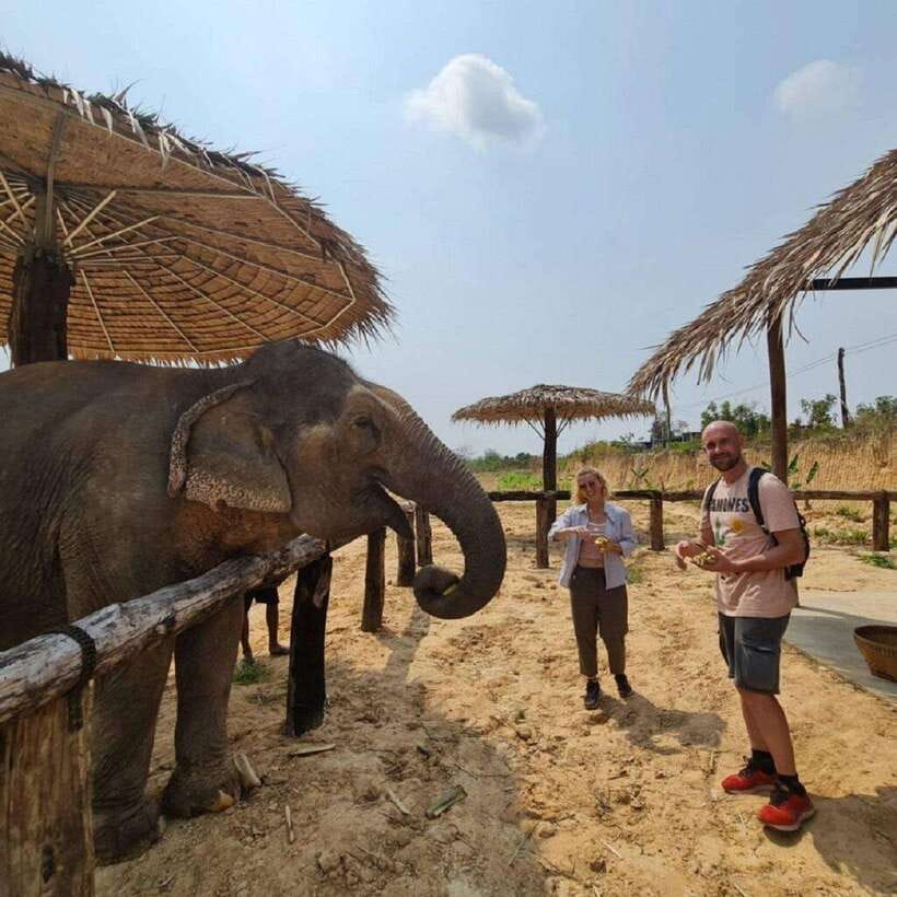 Cambodia Elephant Sanctuary and Banteay Srey Temple Tour - Should you book the elephant sanctuary and Banteay Srei tour?