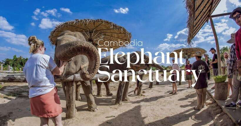 Cambodia Elephant Sanctuary and Banteay Srey Temple Tour - Banteay Srei and the small scale of Khmer detail