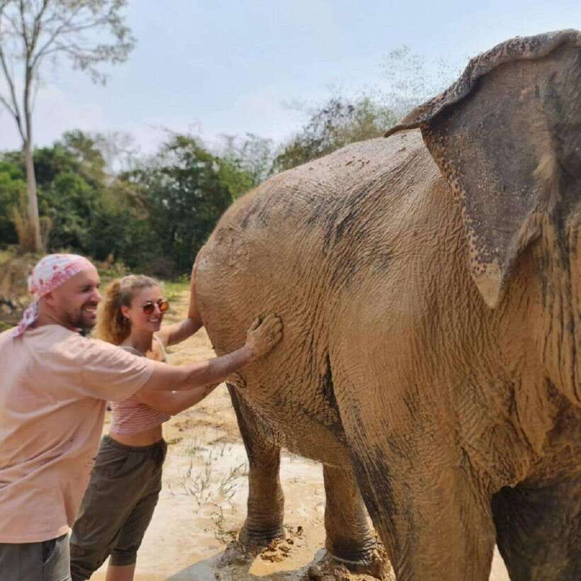 Cambodia Elephant Sanctuary and Banteay Srey Temple Tour - Private groups, transport, and the pace of the day