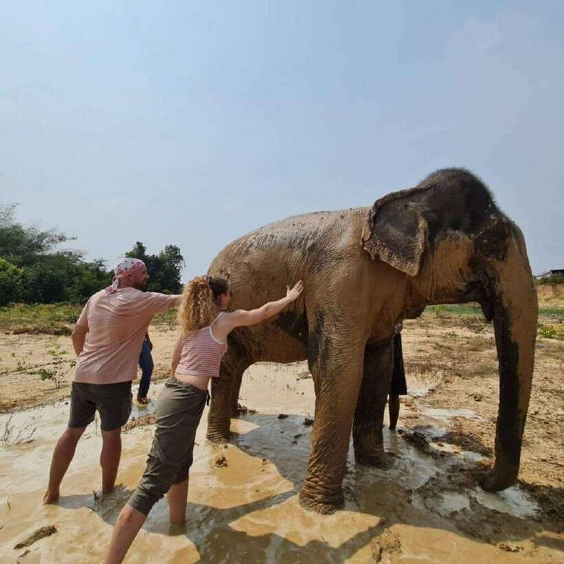 Cambodia Elephant Sanctuary and Banteay Srey Temple Tour - What to pack and what to expect