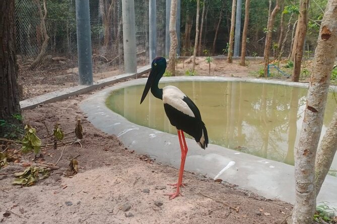 Cambodia Wildlife Sanctuary and Countryside Tour - Climbing to Phnom Chisor Temple