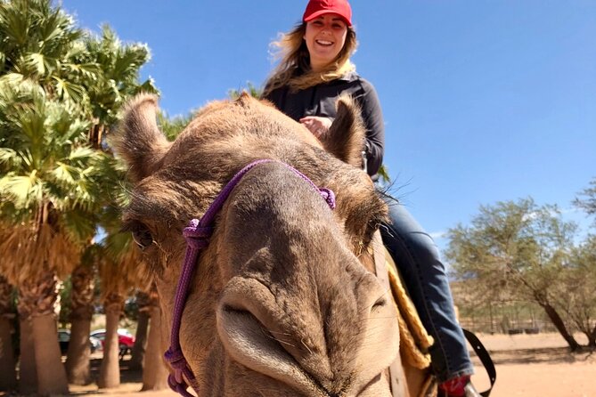 Camel Safari - Camel Ride and Zoo Tour - Key points to know before booking