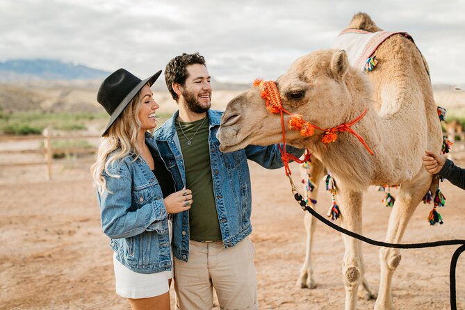 Camel Safari - Camel Ride and Zoo Tour - A camel ride with more to it than a photo