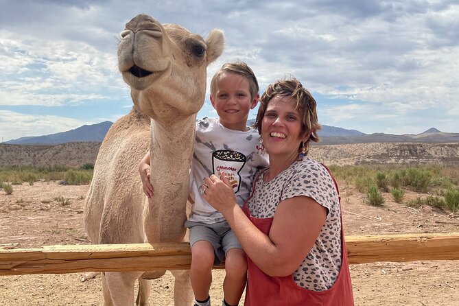 Camel Safari - Camel Ride and Zoo Tour - Timing, meeting point, and weather