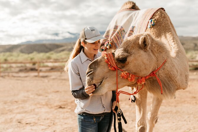 Camel Safari - Camel Ride and Zoo Tour - Who will enjoy this most